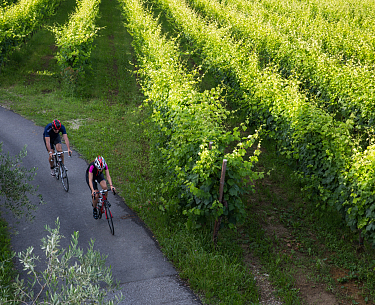 Zwei Hotelgäste fahren auf ihren Rennrädern durch die Weinberge 