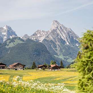 Bergpanorama in der Schweiz